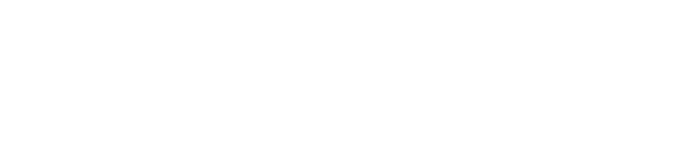 LejonGEO